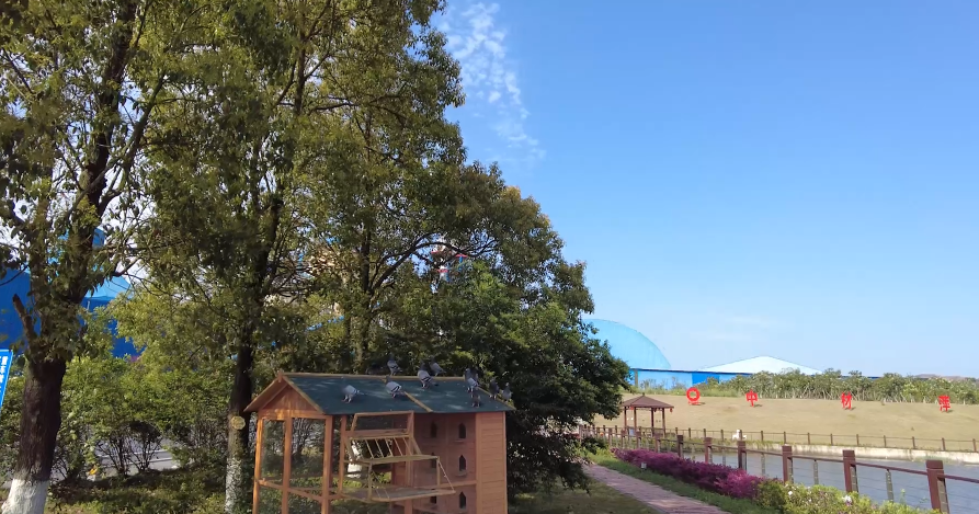 春來(lái)好時(shí)光，花園工廠生機(jī)勃勃